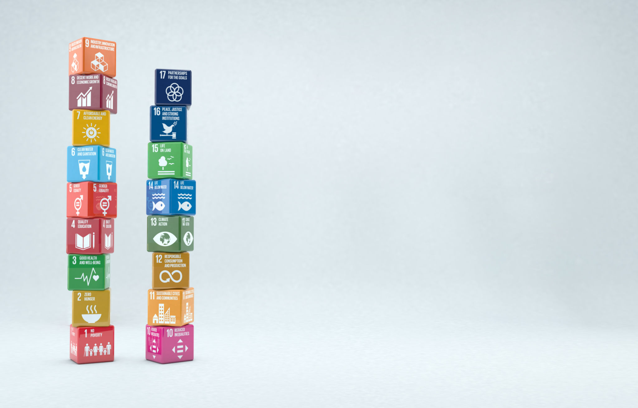 sustainability goals