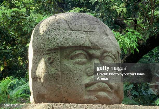 olmec colossal head in the pre-columbian archaeological site of la venta - venta stock pictures, royalty-free photos & images