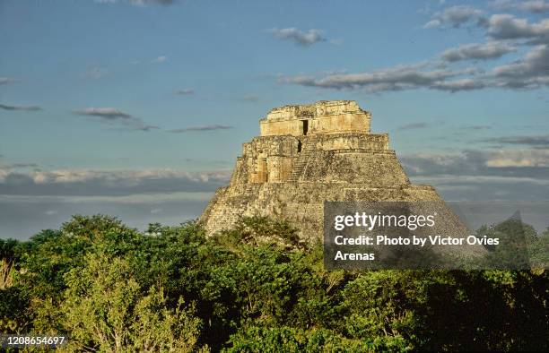 Pyramid In Forest Rainforest Pyramid Photos and Premium High Res Pictures - Getty Images