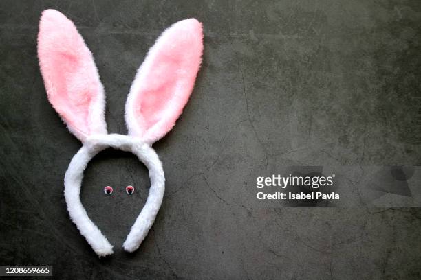 rabbit ears with eyes - bunny ears stockfoto's en -beelden