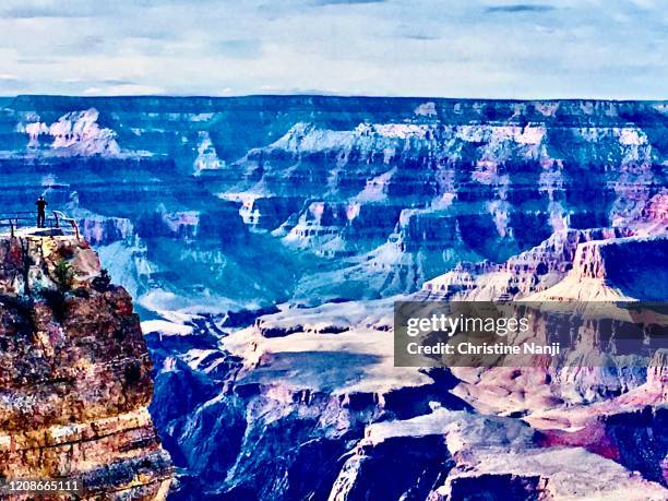 husband stands at grand canyon’s rim - mather point stock pictures, royalty-free photos & images