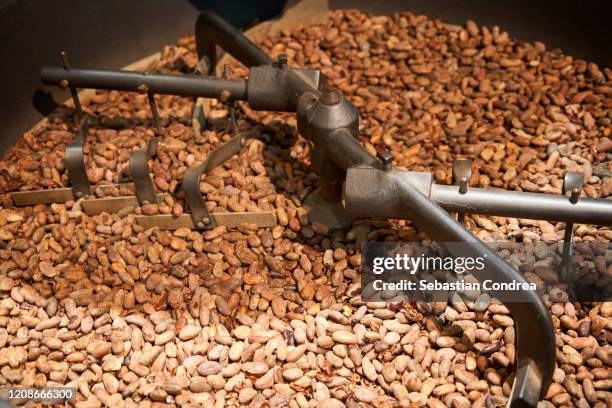 chocolate making process the small craft manufacture, cocoa beans. - cocoa beans foto e immagini stock