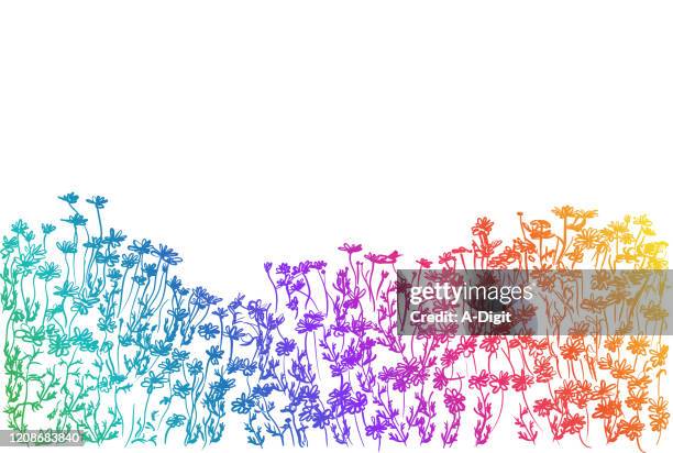 flowerbed background rainbow - vascular plants stock illustrations