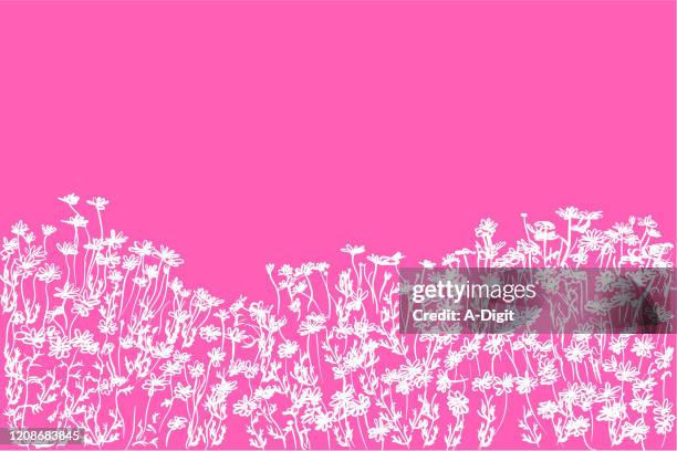 illustrations, cliparts, dessins animés et icônes de flowerbed background pink chalkboard - botaniste