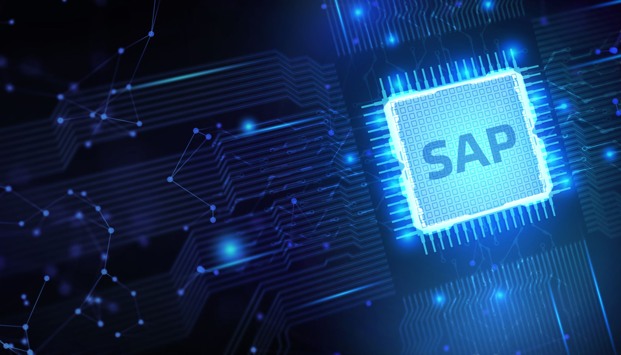 sap software