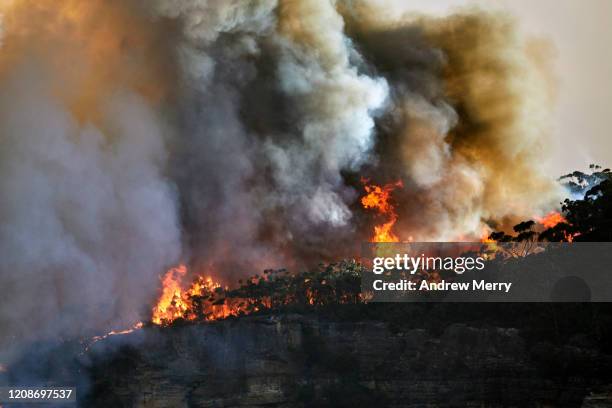 forest fire, bushfire with flames leaping high above trees, sun illuminated smoke clouds at dusk on mountain ridge, blue mountains, australia - sydney smoke stock pictures, royalty-free photos & images