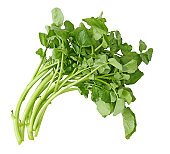 A small loose bunch of watercress curved to right, on white