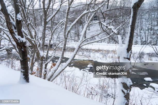 beautiful winter landscape snow cover the pine trees around niseko ski village area at niseko hokkaido 2020 - hirafu snow resort photos et images de collection