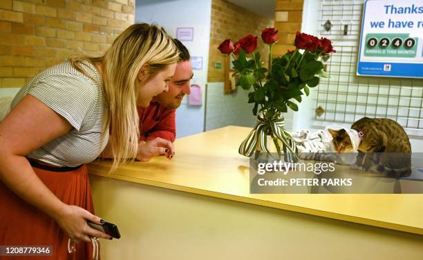 Lachlan Vaughan-Taylor and his partner look at Pippa , a blind cat they just adopted at the Royal Society for the Prevention of Cruelty to Animals...