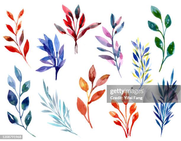 watercolour illustration of colourful leaves - leaves illustration stock pictures, royalty-free photos & images