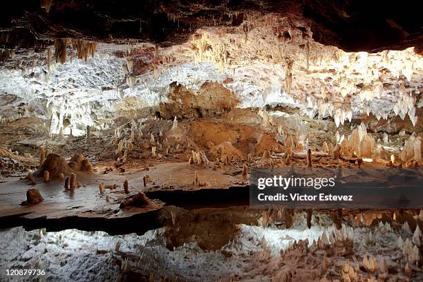 cave - cantabria stock pictures, royalty-free photos & images