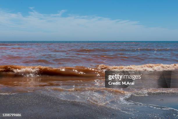 Red Tide Background 547 Red Tide Ocean Stock Photos, High-Res Pictures, and Images - Getty ...