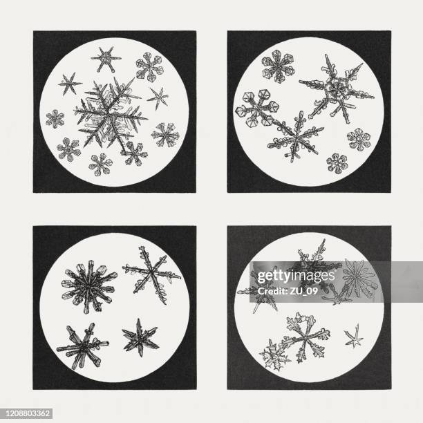 microscopic magnification of snow crystals, wood engravings, published in 1895 - pentagram stock illustrations