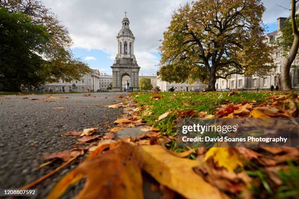 campanile in trinity college, dublin city, ireland - trinity college dublin stock pictures, royalty-free photos & images