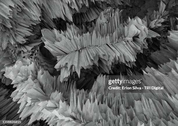 coral of sharp and pointed polygons - scherp stockfoto's en -beelden