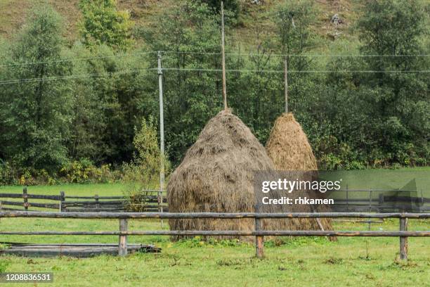 steam train, moldovita,, romania - hooiberg stockfoto's en -beelden