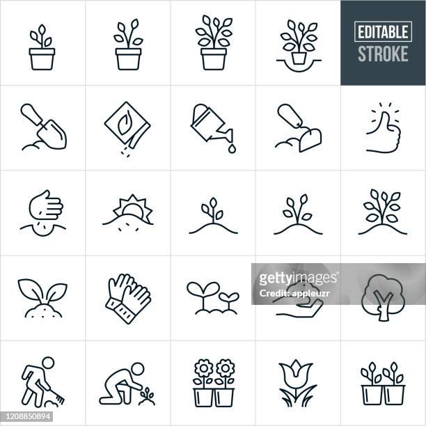 stockillustraties, clipart, cartoons en iconen met planten en groeiende dunne lijn pictogrammen - bewerkbare beroerte - bloem plant