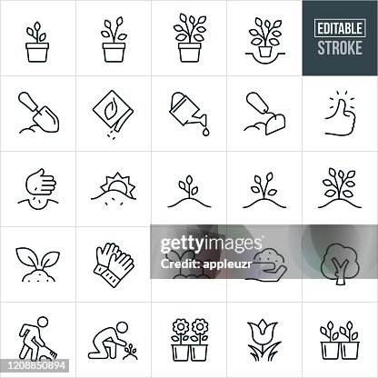 Planting and Growing Thin Line Icons - Editable Stroke Planting and Growing Thin Line Icons - Editable Stroke