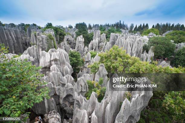 stone forest, shilin, china - yunnan province stock pictures, royalty-free photos & images