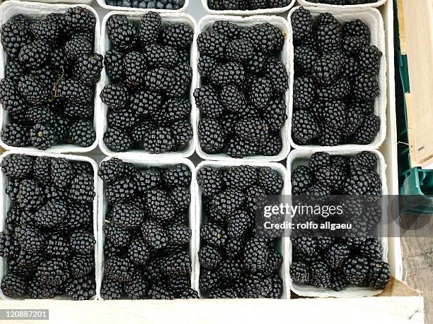 bramble - brombeere stock pictures, royalty-free photos & images