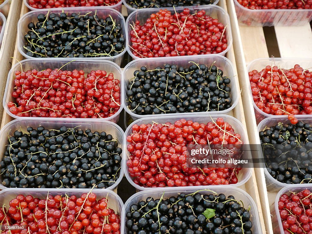 Currants