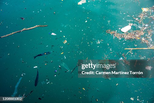 Plastic pollution in ocean problem. Plastic pollution in ocean problem.