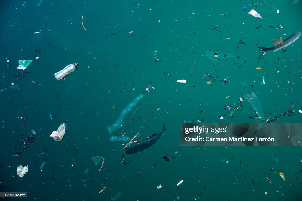 Plastic pollution in ocean problem.