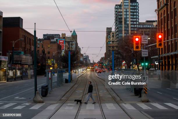 Pedestrian cross the street with a dog as Toronto copes with a shutdown due to the Coronavirus, on April 1, 2020 in Toronto, Canada. Prime Minister...