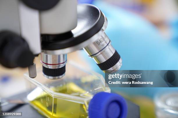 close up microscope observing the virus cell in growth medium flask - scientific flask stock pictures, royalty-free photos & images