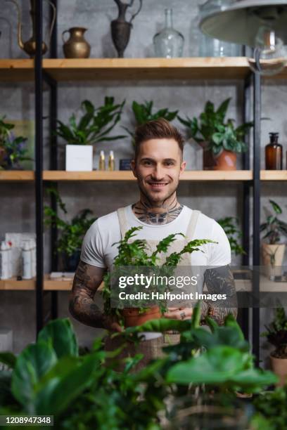 man florist standing in flower and plant shop, holding a plant in a pot. - terrarium stock pictures, royalty-free photos & images