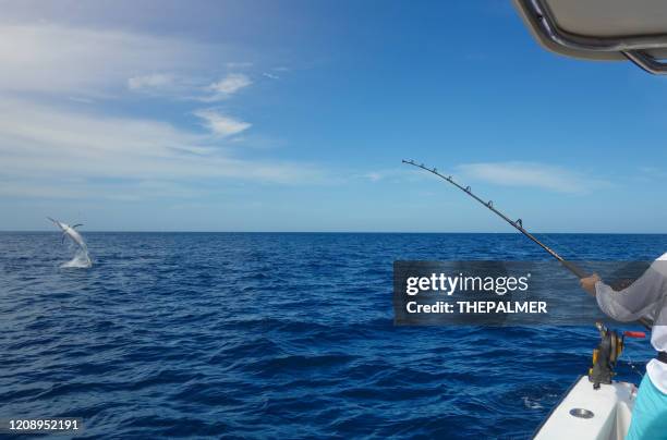 fighting with a swordfish - swordfish stock pictures, royalty-free photos & images