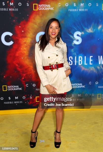 Dania Ramirez attends National Geographic's Los Angeles Premiere Of "Cosmos: Possible Worlds" at Royce Hall, UCLA on February 26, 2020 in Westwood,...