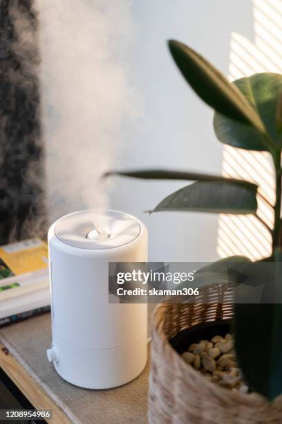 232 Humidity Machine Stock Photos, High-Res Pictures, and Images ...