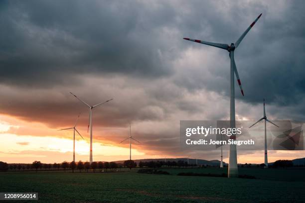 abendliche stimmung im herbst - paper windmill bildbanksfoton och bilder