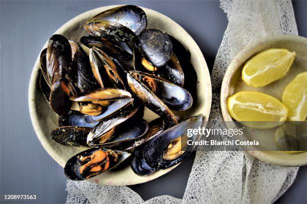 steamed mussels with herbs - clams cooked stock-fotos und bilder