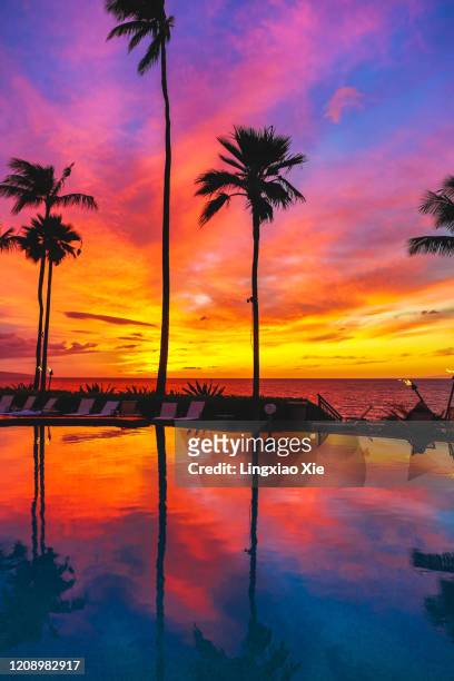 beautiful dusk view of wailea beach and palm trees with reflection, maui, hawaii - romantic sky stock pictures, royalty-free photos & images