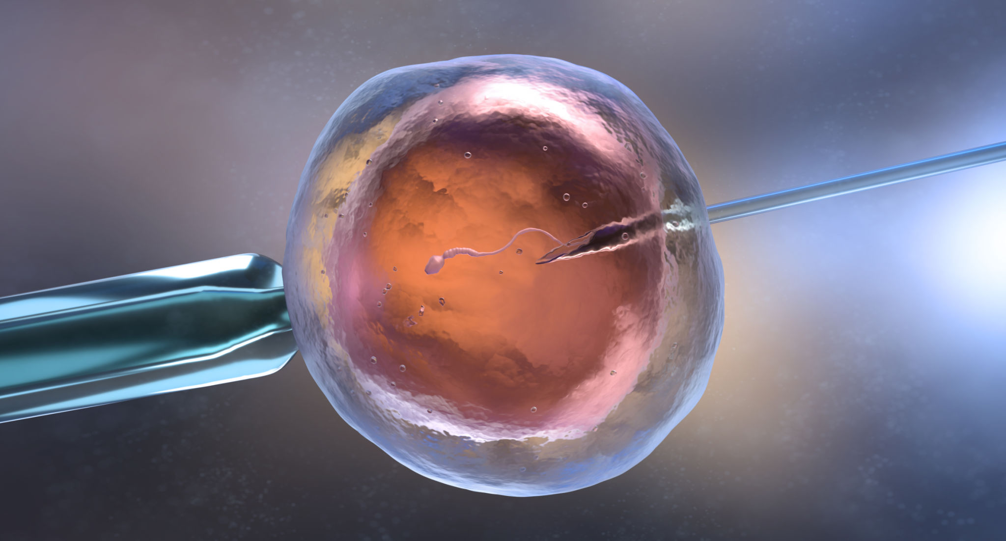 ivf laboratory