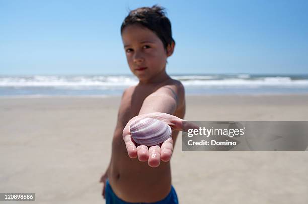 Boy And Shells 898 Boy Seashells Stock Photos, High-Res Pictures, and Images - Getty ...