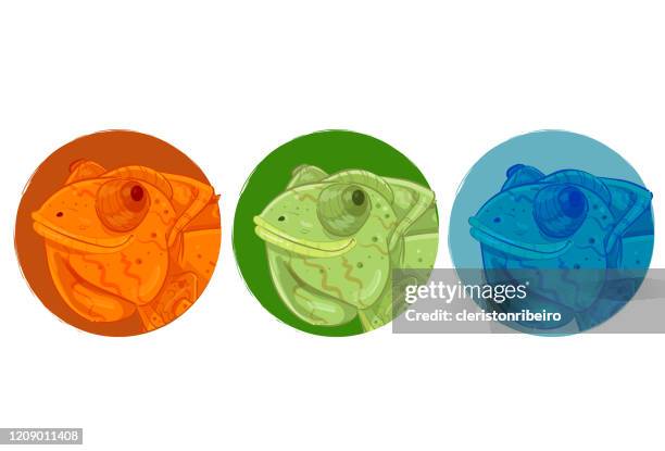 the chameleon - chameleon stock illustrations