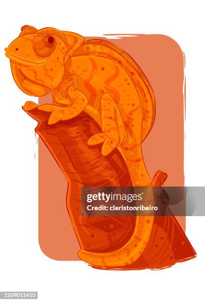 the chamaleon - chameleon stock illustrations