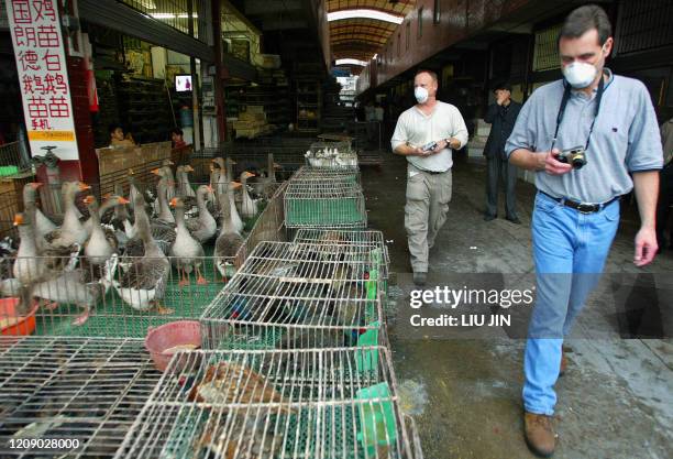 World Health Organization officials inspect a wildlife animal market where selling civet cats in southern capital of Guangzhuo, 10 January 2004....