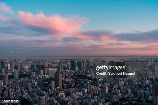 tokyo skyline at dusk - tokyo skyline sunset stock pictures, royalty-free photos & images