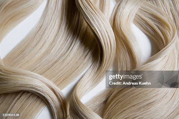 still life of blond wavy hair on white background. - wavy hair imagens e fotografias de stock