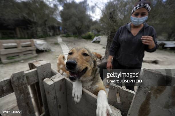 Zaynab Razzouk, head of the animal protection NGO Carma, watches as a dog inspects the camera at the shelter in the area of Koura, north of the...
