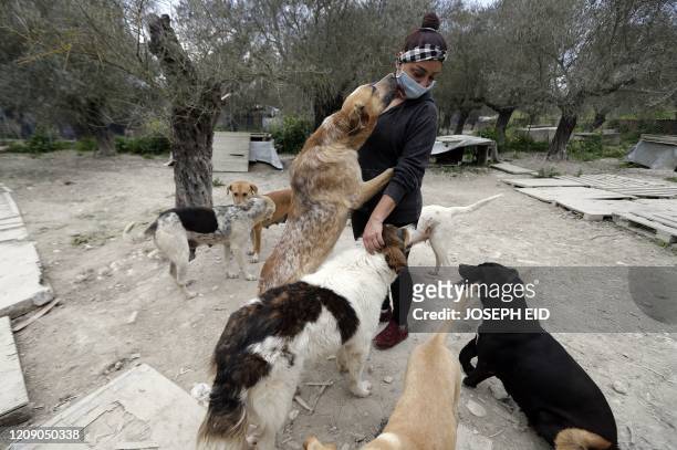 Zaynab Razzouk, head of the animal protection NGO Carma, plays with dogs at the shelter in the area of Koura, north of the Lebanese capital Beirut on...