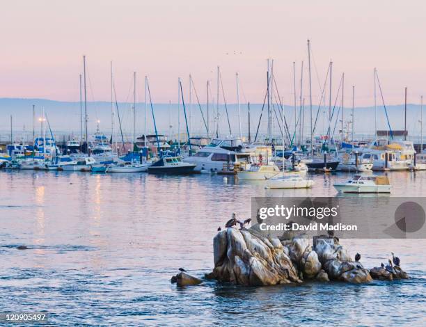 harbor, monterey, california - cidade de monterey califórnia - fotografias e filmes do acervo