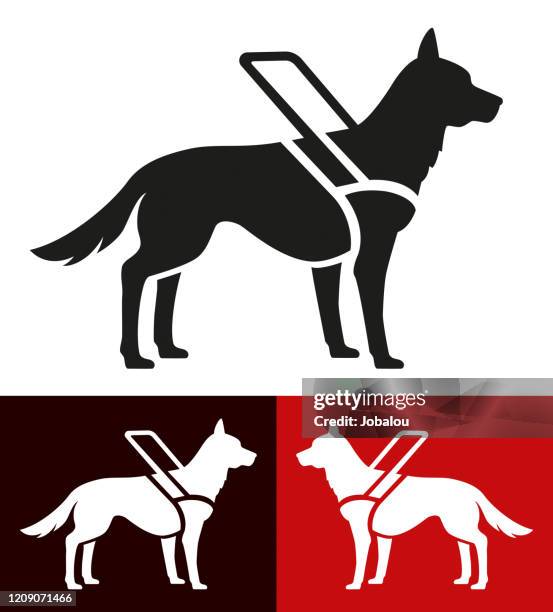 illustrazioni stock, clip art, cartoni animati e icone di tendenza di cane da assistenza icona per non vedenti - service dog