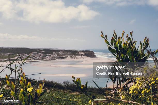 overview of obidos lagoon at foz do arelho - lagoa imagens e fotografias de stock