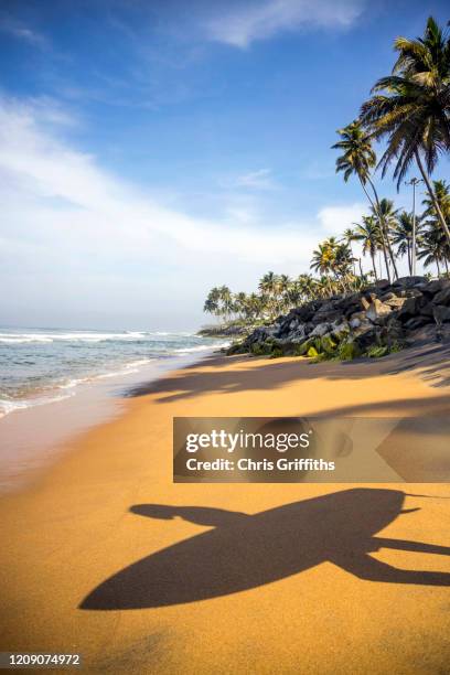 varkala, kerala, southern india - kerala surf stockfoto's en -beelden