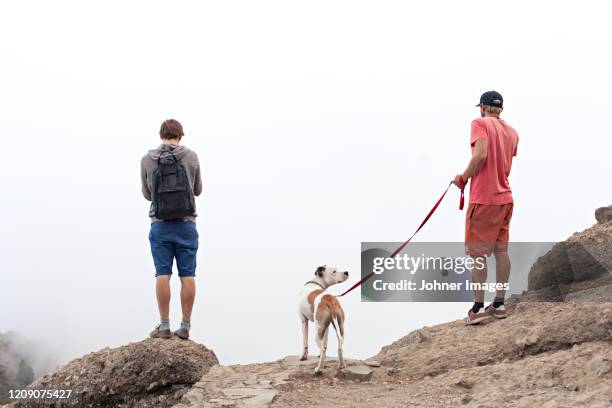 two men with dog looking into mist - canary islands dog stock pictures, royalty-free photos & images